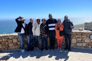 Kapstaden: Godahoppsudden och pingvinerna - guidad dagsutflykt