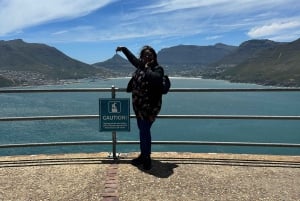 Da Città del Capo: tour condiviso del Capo di Buona Speranza e dei Pinguini