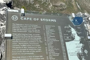 Vanuit Kaapstad: gedeelde tour Kaap de Goede Hoop en Penguins