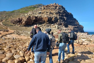 From Cape Town: Cape of Good Hope Guided Private Tour