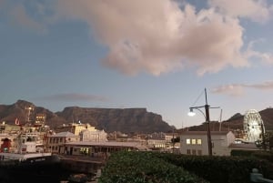 Från Kapstaden: Godahoppsudden guidad privat tur