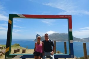 Desde Ciudad del Cabo: Tour privado guiado por el Cabo de Buena Esperanza