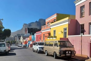 Vanuit Kaapstad: Kaap de Goede Hoop privétour met gids