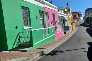 Da Cidade do Cabo: Tour particular guiado pelo Cabo da Boa Esperança