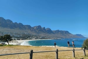 Cape of Good Hope Guided Private Tour