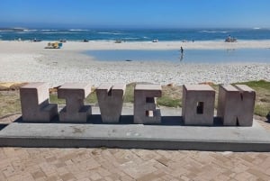 Vanuit Kaapstad: Kaap de Goede Hoop privétour met gids