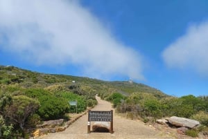 Au départ du Cap : visite guidée privée du Cap de Bonne Espérance