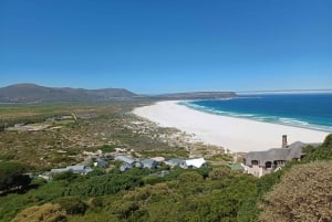 Från Kapstaden: Godahoppsudden guidad privat tur