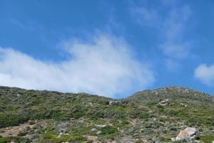 Da Cidade do Cabo: Tour particular guiado pelo Cabo da Boa Esperança