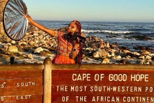 Fra Cape Town: Guidet tur til Kapp det gode håp og pingviner