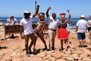 Da Città del Capo: Tour guidato del Capo di Buona Speranza e dei Pinguini