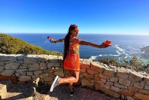 Från Kapstaden: Guidad tur till Godahoppsudden och pingvinerna