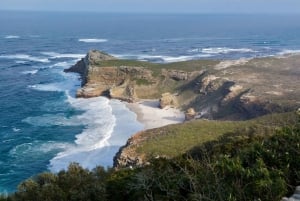 Cape of Good Hope and Penguins Guided Tour