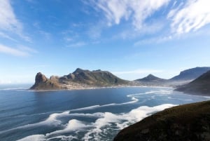 Da Città del Capo: Tour della Penisola del Capo e della spiaggia dei pinguini di Boulders