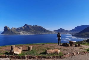 Da Cidade do Cabo: Excursão à Península do Cabo e Boulders Penguin Beach