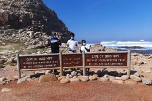 Vanuit Kaapstad: Kaap Schiereiland & Boulders Penguin Strand Tour