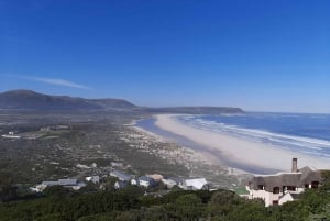 Fra Cape Town: Utflukt til Kapphalvøya og Boulders Penguin Beach