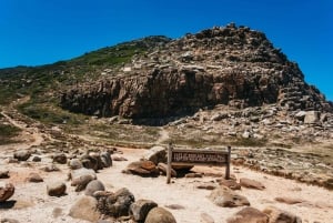 Kapkaupungista: Cape Peninsula & Boulders Penguin Beach Tour (Kapin niemimaa & Boulders Penguin Beach Tour)