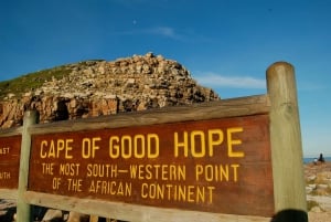 Vanuit Kaapstad: rondleiding van een hele dag op het Kaapse Schiereiland