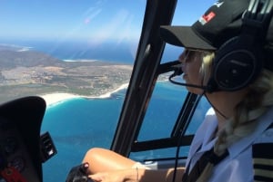Depuis Le Cap : vol panoramique en hélicoptère dans la péninsule du Cap