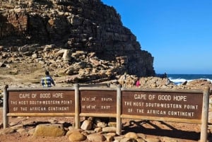 Cape Town: Jeep-safari-eventyr på Kaphalvøen