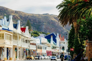 Cape Town: Jeep-safari-eventyr på Kaphalvøen