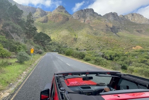 Cape Town: Jeep-safari-eventyr på Kaphalvøen