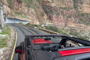 Cape Town: Jeep-safari-eventyr på Kaphalvøen