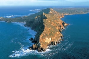 Från Kapstaden: heldagstur till Cape Point och Boulders Beach