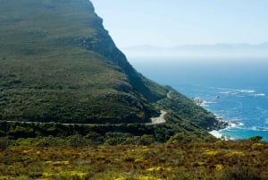 Vanuit Kaapstad: Kaap Punt en Boulders Beach Dagvullende Tour