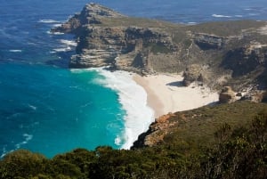 From Cape Town: Cape Point and Boulders Beach Full-Day Tour