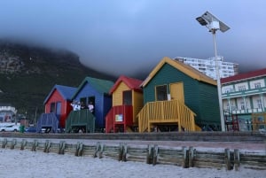 Från Kapstaden: Cape Point & Boulders Beach heldagstur