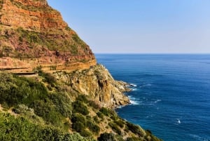 Desde Ciudad del Cabo: Excursión de día completo a Cape Point y Boulders Beach