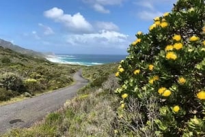 Da Cidade do Cabo: Excursão de bicicleta elétrica ao Parque Nacional de Cape Point