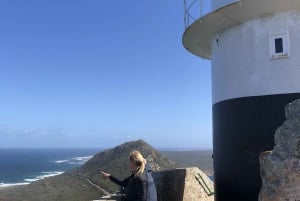 Fra Cape Town: Cape Point National Park E-Bike Tour