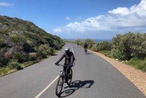 Из Кейптауна: тур по национальному парку Кейп-Пойнт на электронном велосипеде