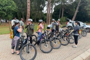 Från Kapstaden: Cape Point National Park E-Bike Tour