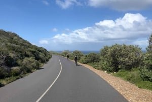 Desde Ciudad del Cabo: recorrido en bicicleta eléctrica por el Parque Nacional Cape Point