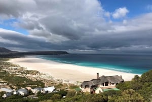 Ab Kapstadt: Cape Point, Pinguine & Weinverkostung Tour
