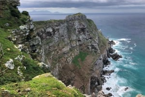 Fra Cape Town: Cape Point, pingviner og vinsmakingstur
