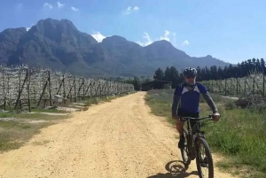 From Cape Town: Cape Winelands E-Bike Tour with Lunch & Wine