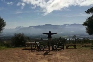 Da Città del Capo: tour in bici elettrica di Cape Winelands con pranzo e vino