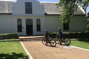 From Cape Town: Cape Winelands E-Bike Tour with Lunch & Wine