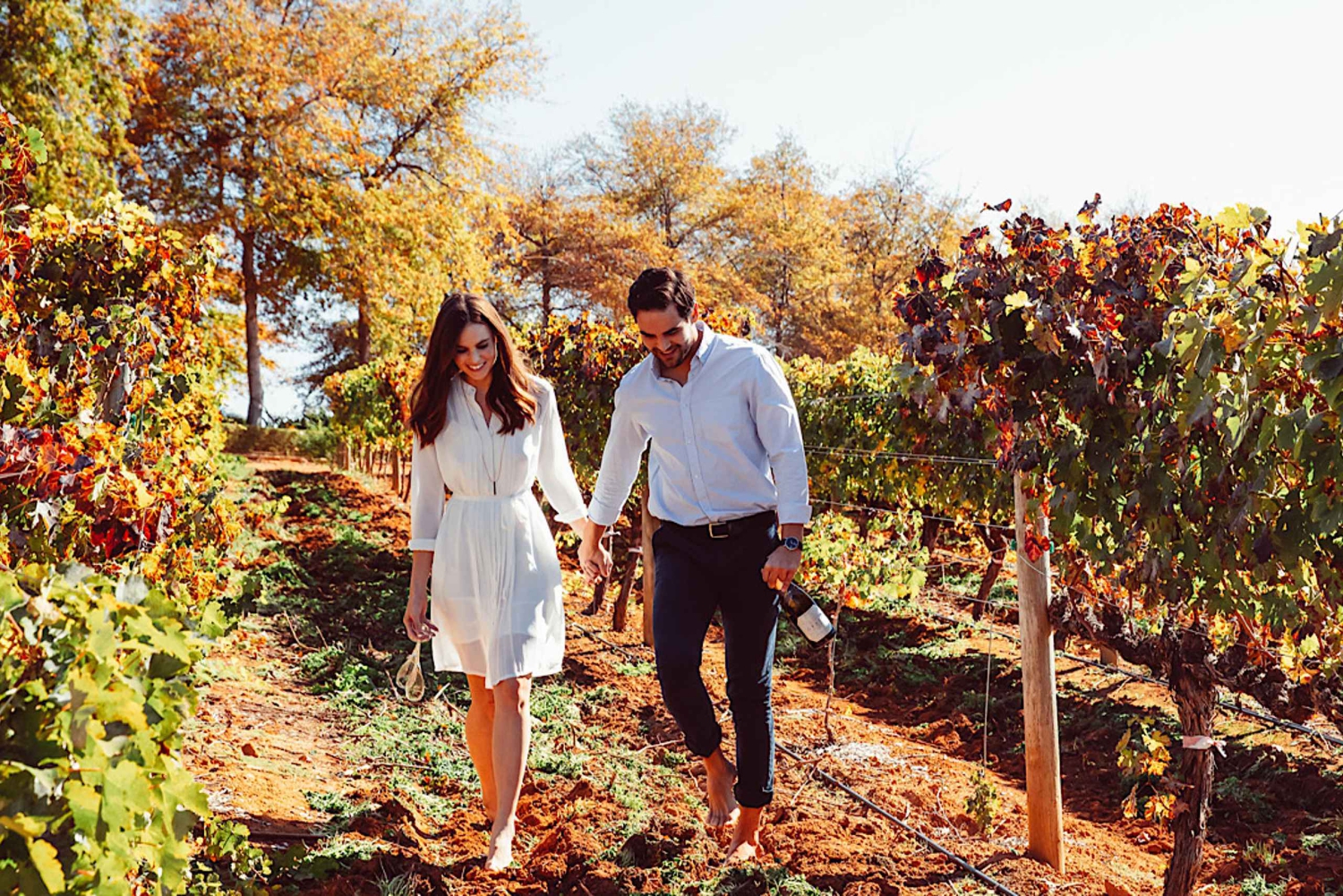 A partir da Cidade do Cabo: Excursão particular de 1 dia pelas vinhas do Cabo