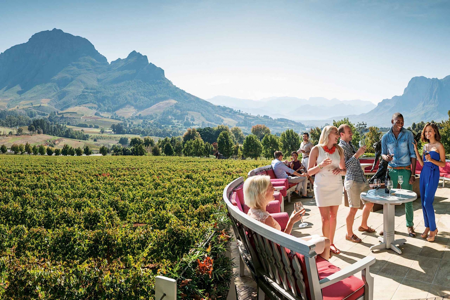 From Cape Town: Cape Winelands Full-Day Private Tour