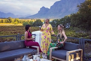 Fra Cape Town: Cape Winelands heldags privat tur