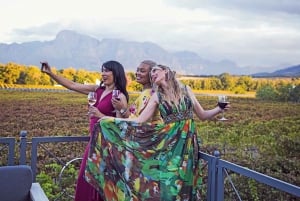 Da Cidade do Cabo: Cape Winelands Tour Privado de Dia Inteiro