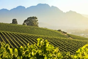 Vanuit Kaapstad: privétour door de Kaapse Wijnlanden van een hele dag