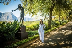 From Cape Town: Cape Winelands Full-Day Private Tour