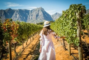 Ab Kapstadt: Private Tagestour durch die Cape Winelands